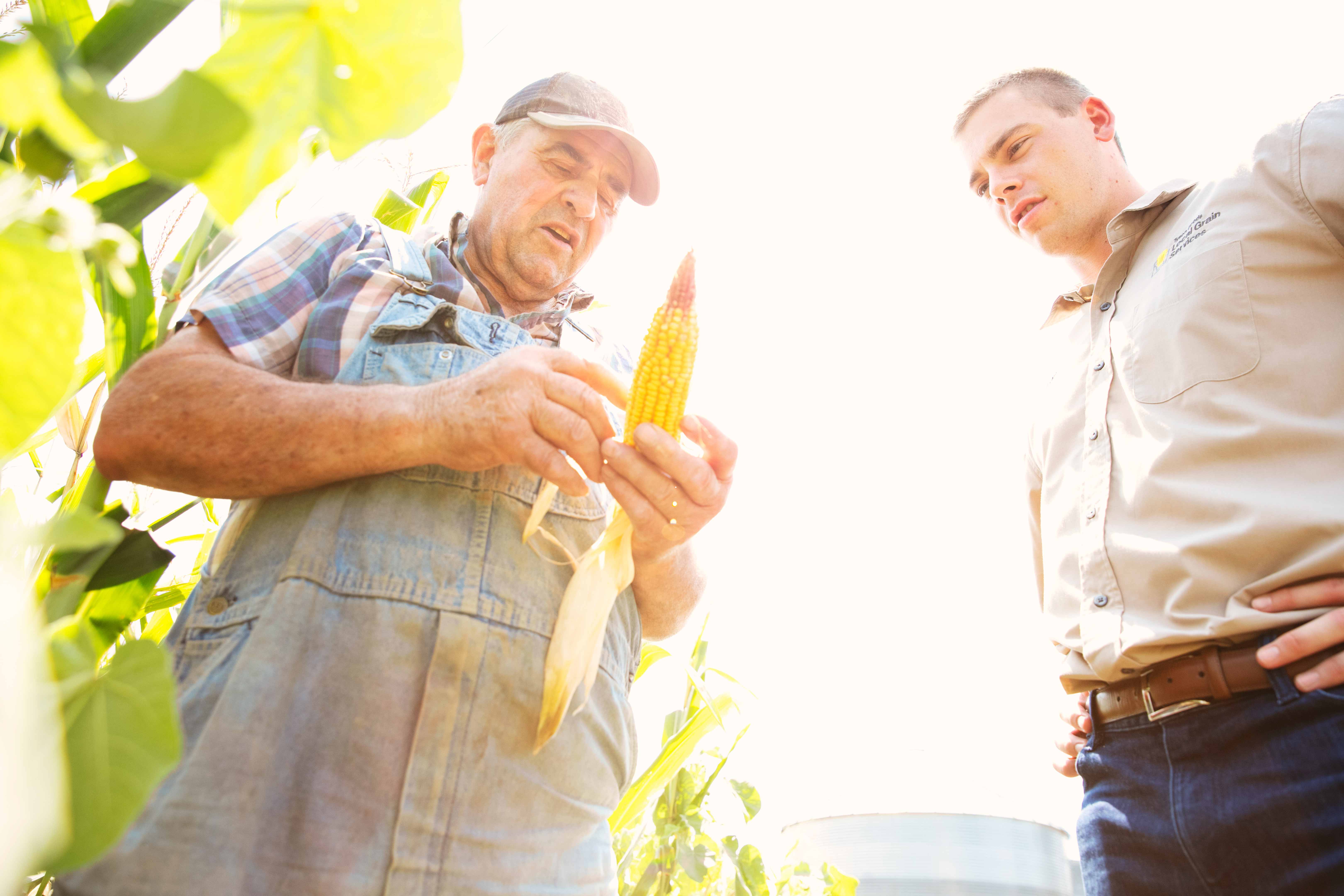 Privacy Policy hero image